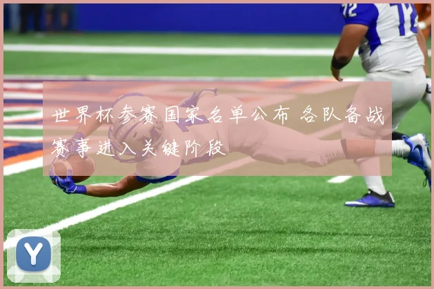 世界杯参赛国家名单公布 各队备战赛事进入关键阶段