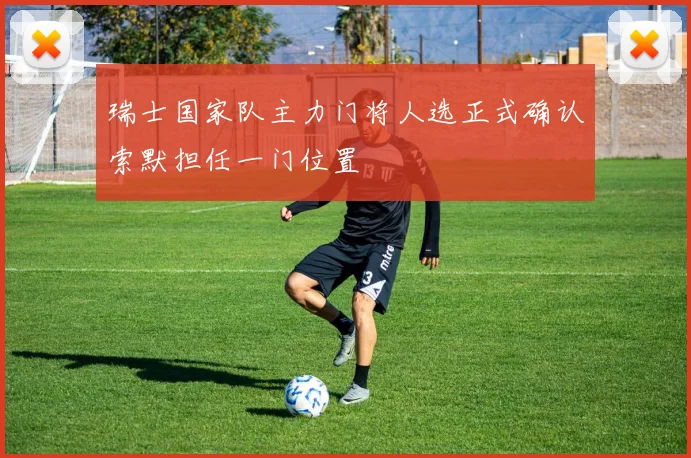 瑞士国家队主力门将人选正式确认索默担任一门位置