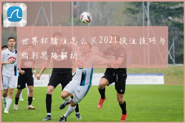 世界杯赌注怎么买2021投注技巧与购彩思路解析