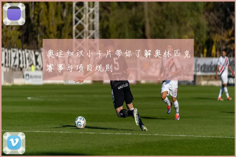 奥运知识小卡片带你了解奥林匹克赛事与项目规则
