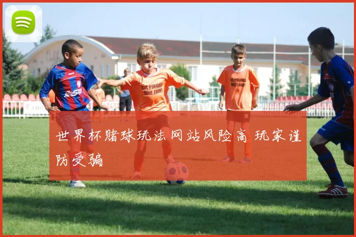世界杯赌球玩法网站风险高 玩家谨防受骗
